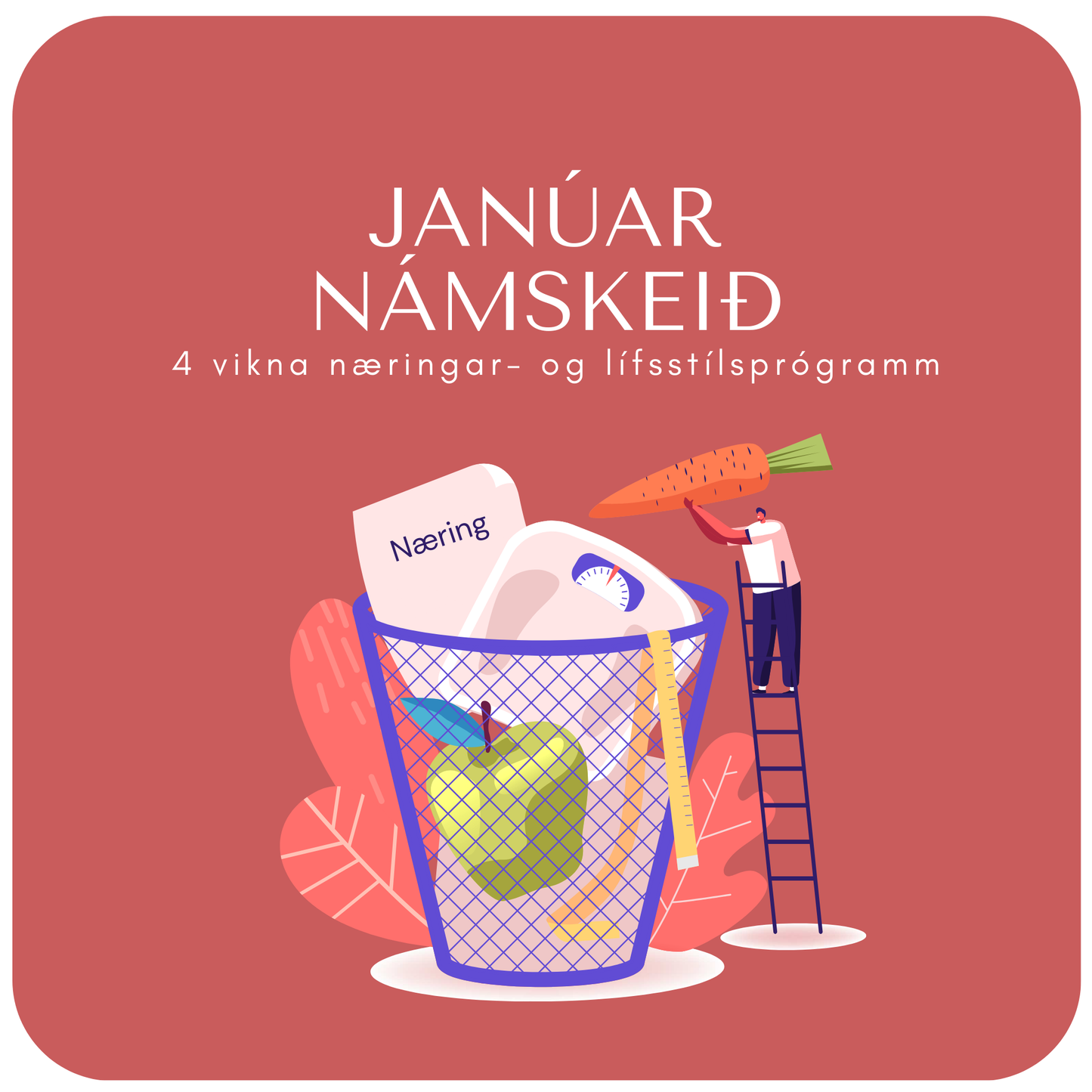 Janúar námskeið – 4 vikna næringar- og lífsstílsprógramm
